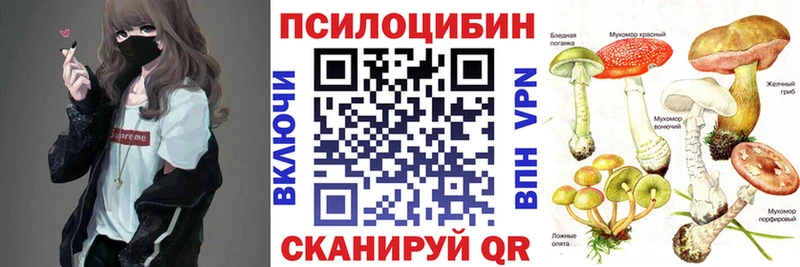 как найти закладки  Исилькуль  Псилоцибиновые грибы Cubensis 